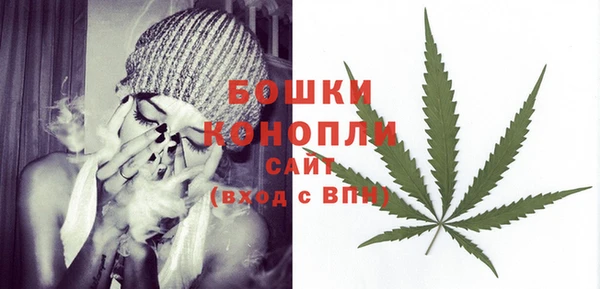 COCAINE Белокуриха