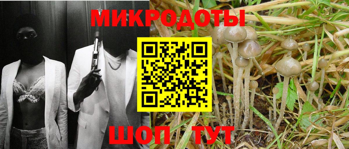 Галлюциногенные грибы мухоморы Валуйки
