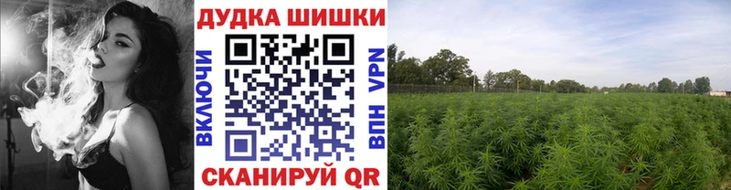 как найти наркотики  Валуйки  Каннабис семена 